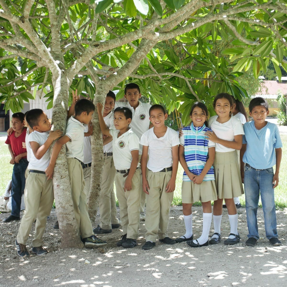 Jungle School Group 2 Jungle School Group 2